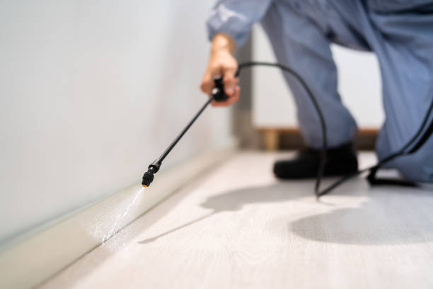 Licensed Fumigation Services service in Sloan, IA - Nex Pest Control