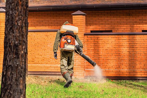 Trusted Rodent Control service in Sloan, IA - Nex Pest Control